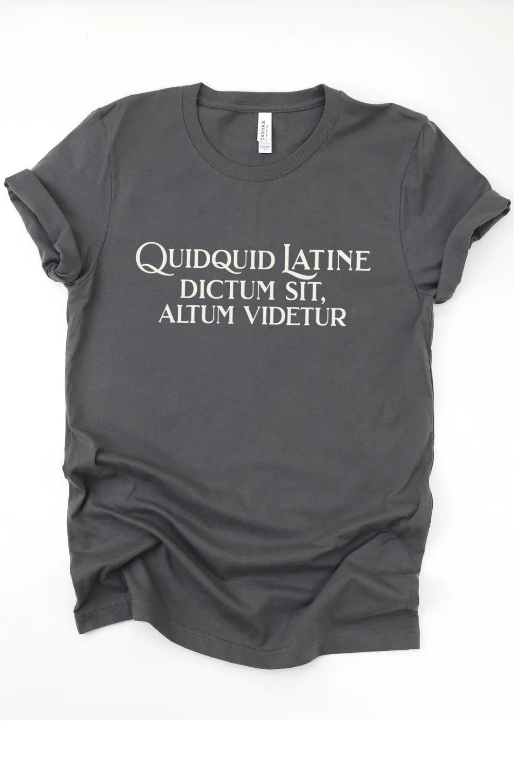 Gray dark academia t-shirt with 'STILL NOT OVER THE LIBRARY OF ALEXANDRIA' text on a white background